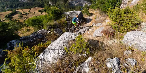 \u041f\u0435\u0440\u043f\u0435\u043d\u0434\u0438\u043a\u0443\u043b\u044f\u0440\u043d\u0430 \u0412\u0441\u0435\u043b\u0435\u043d\u0430 20 \ud83e\udd42