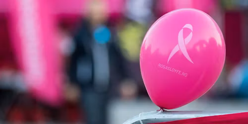 Rosa Sl\u00f8yfe-l\u00f8p \u00d8ygarden med MOVA Straume