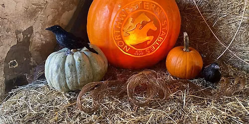 Haunted Horses