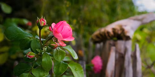 Eugene Walk & Talk - May