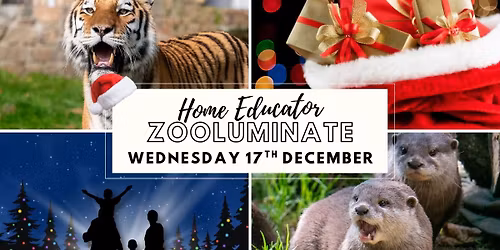 Home Educator Zooluminate!