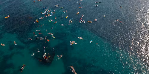 Swim to the Wreck - THE ORIGINAL