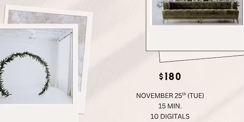 Houston Christmas Minis