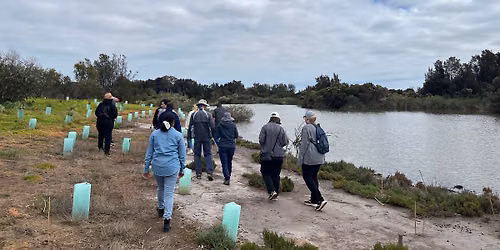 \ud83d\udc26Restore & Explore at Barker Inlet Wetlands! \ud83e\udeb2