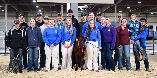 2026 Mass Blue Ribbon Calf Sale
