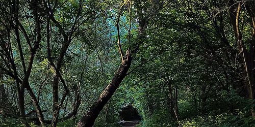 San Francisco Ballet - La Sylphide