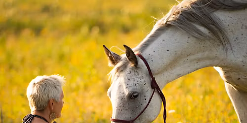 Warsztaty Zielarsko Konne z Jog\u0105 o Zachodzie S\u0142o\u0144ca