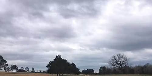 Training Day Saturday December 13th 2025