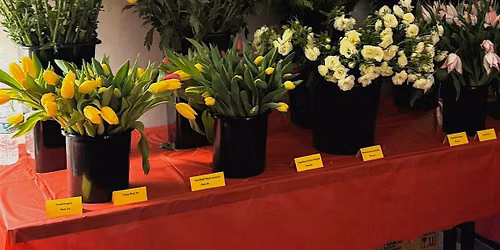 Bloom Together: A Floral Arrangement Date Night