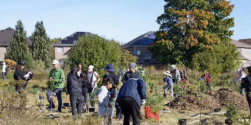 Community Tree Planting at Langstaff Park
