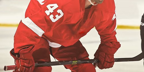 Minnesota Wild at Detroit Red Wings