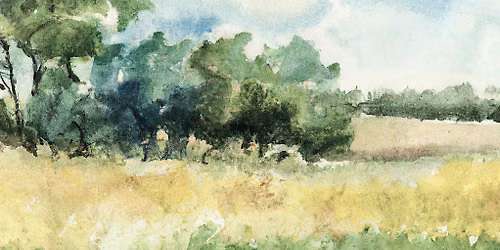 Yellow Field Watercolor Landscape Class