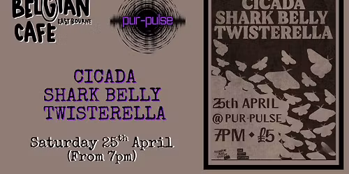 Cicada\/Sharkbelly\/Twisterella @ Pur-Pulse