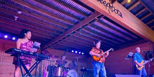 Timeless HTX live at Deep Roots Vineyards!