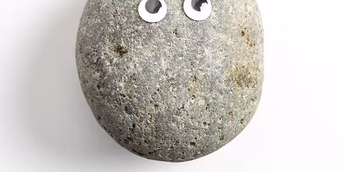 Pet Rock