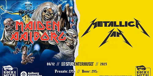 ARM concert feat Maiden Aalborg & Metallica Jam