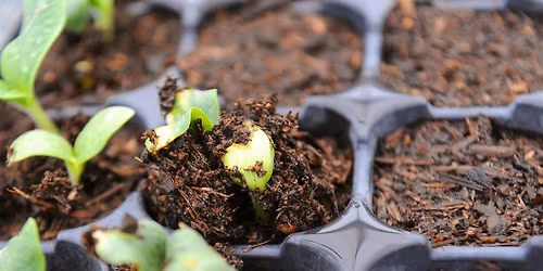 Composting 101 at CitySoil Farm