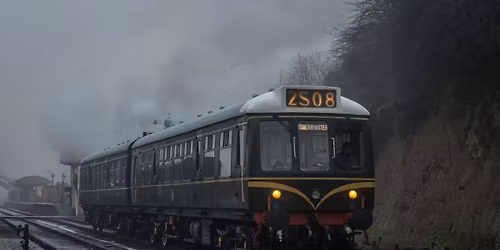 Bewdley Lights Special Train