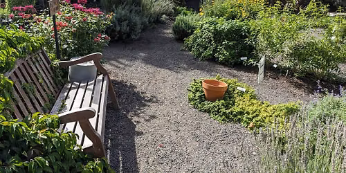 Herbs for Sun and Shade