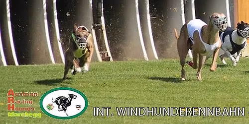 \u201eFun Olympiade\u201c mit CCLA\/\u00d6KV SOLO und SOLO TOGETHER f\u00fcr Windhunde, OGV AKZ f\u00fcr Friends