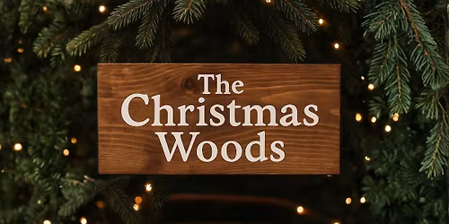 The Christmas Woods \u2013 Where Magic Comes Alive