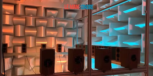 Cabinet de curiosit\u00e9s acoustiques