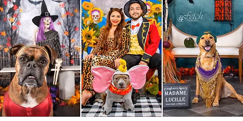 Halloween Pet Portraits - South Loop