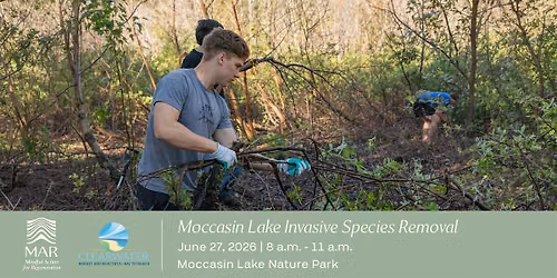 Moccasin Lake Invasive Species Removal