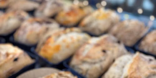 The First Rise- Sourdough Basics 