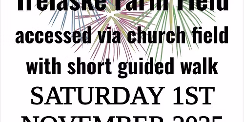 CUBERT FIREWORK DISPLAY