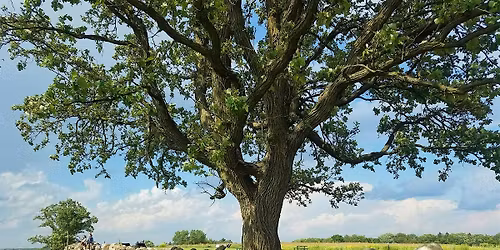Geology Talk at Pope Farm Conservancy: \u201cA Trip Around Wisconsin\u201d