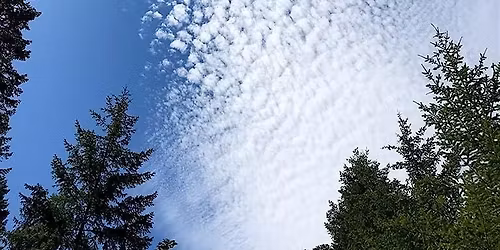 Workshop: Seeing, feeling, and being the world with female mystics