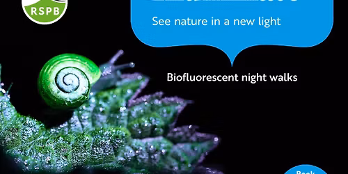 Illuminate: biofluorescence in nature