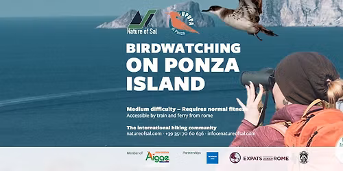 Birdwatching on Ponza Island