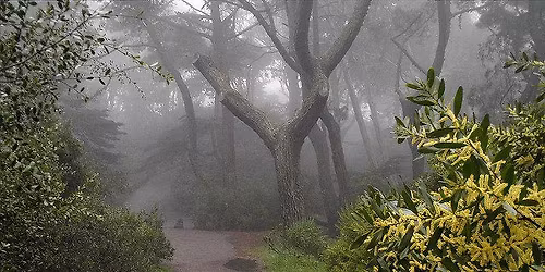 Haunted Hike at Buena Vista Park