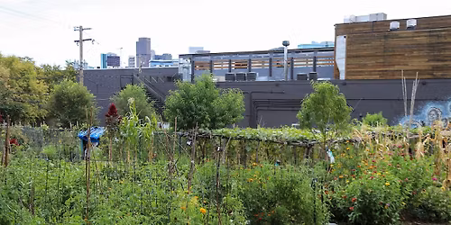 Leverage AI to Strengthen Community Garden Organizations