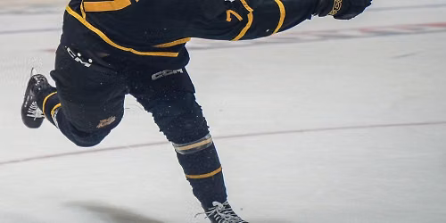 Brandon Wheat Kings at Calgary Hitmen at Scotiabank Saddledome