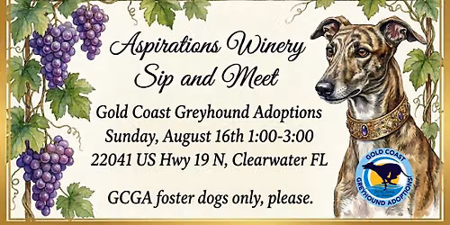 Sip and Meet at Aspirations Winery