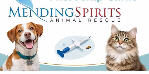 Mending Spirits Low Cost Microchip Clinic 