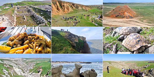 Dobrogea, Dun\u0103rea \u0219i Pe\u0219ti\u0219orul