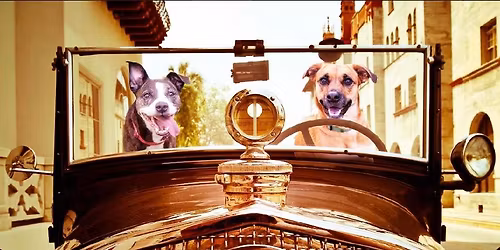 Ponte Vedra Ruck Club Pup Ruck