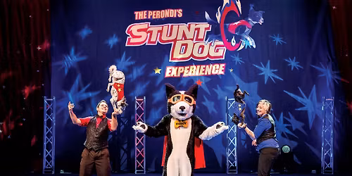 The Stunt Dog Experience