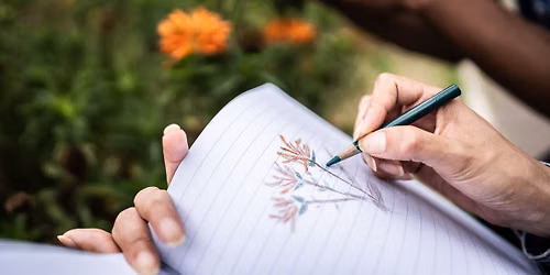 Nature Journaling for Teens