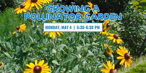 Growing A Pollinator Garden