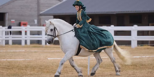 Highland Pony Enthusiasts Club Autumn Show