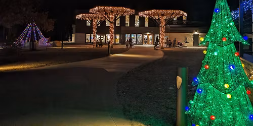 ZooDazzle - Lights Only 