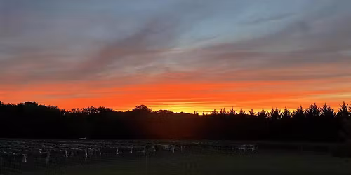 Meditate & Connect in The Vineyard