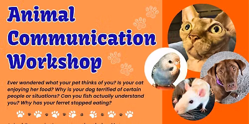 Animal Communication Workshop at Pieces of Jayde