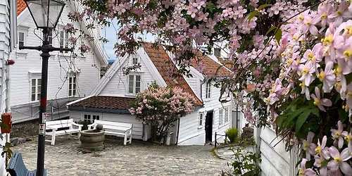 Sommermarked i Gamle Stavanger