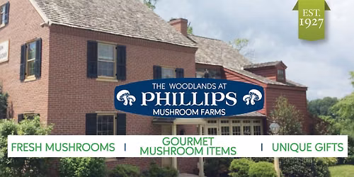 Meet the Mushrooms: July Edition